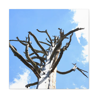 Skeletal Branches Reaching - Unique Frameless Canvas Wall Art - Art By Earth