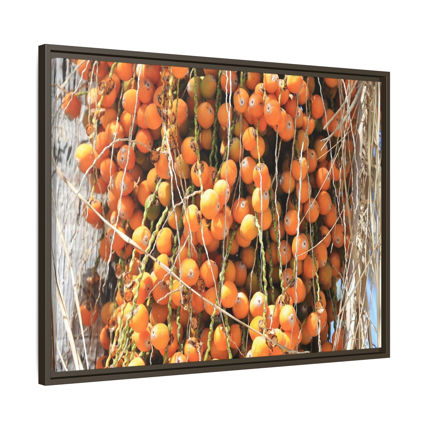 Clusters of Sunlight - Unique Canvas Wall Art - Art By Earth