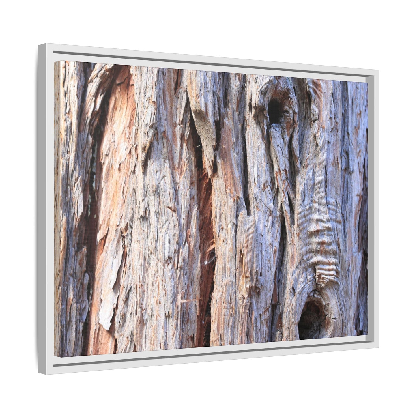 Nature's Grain - Unique Stretched Canvas Wall Art - Art By Earth