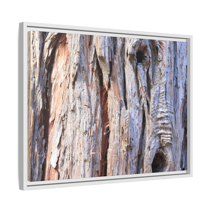Nature's Grain - Unique Stretched Canvas Wall Art - Art By Earth