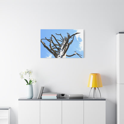 Skeletal Branches Reaching - Unique Frameless Canvas Wall Art - Art By Earth