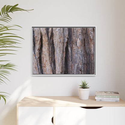 Ancient Grains - Unique Stretched Canvas Wall Art - Art By Earth