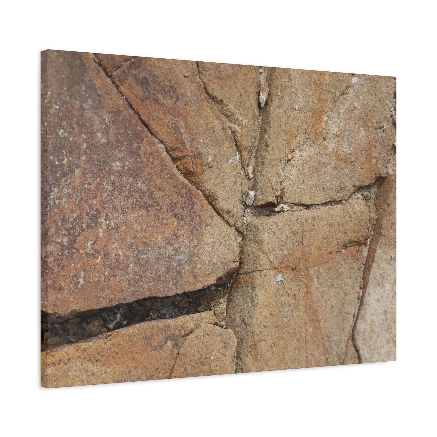 Cracked Earth's Canvas - Unique Frameless Canvas Wall Art - Art By Earth