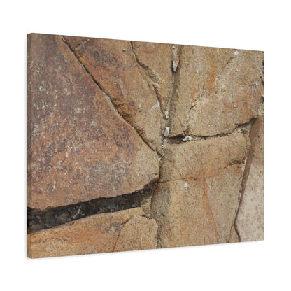 Cracked Earth's Canvas - Unique Frameless Canvas Wall Art - Art By Earth