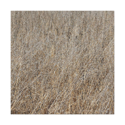 Silent Prairie - Unique Frameless Canvas Wall Art - Art By Earth
