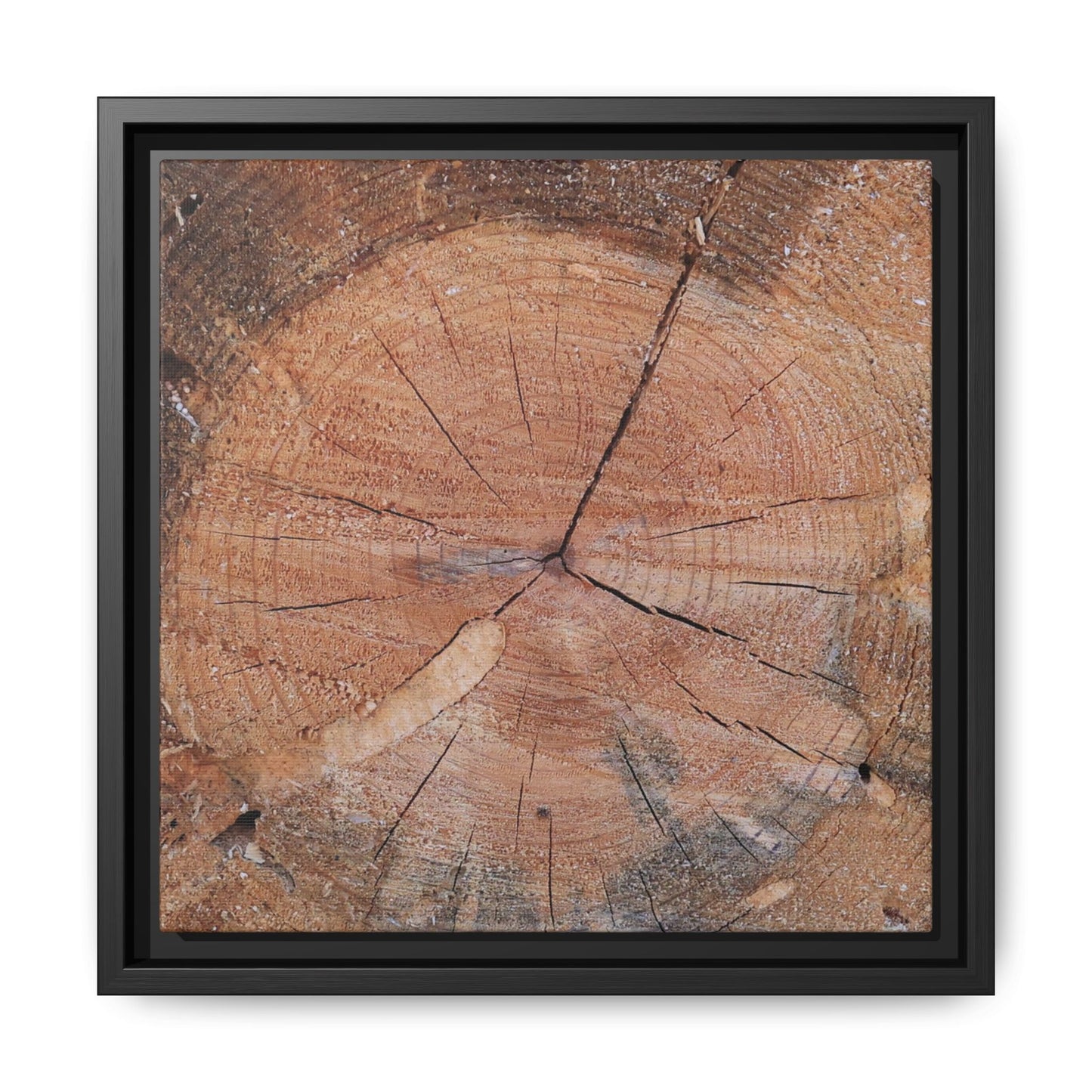 Concentric Memories - Unique Stretched Canvas Wall Art - Art By Earth