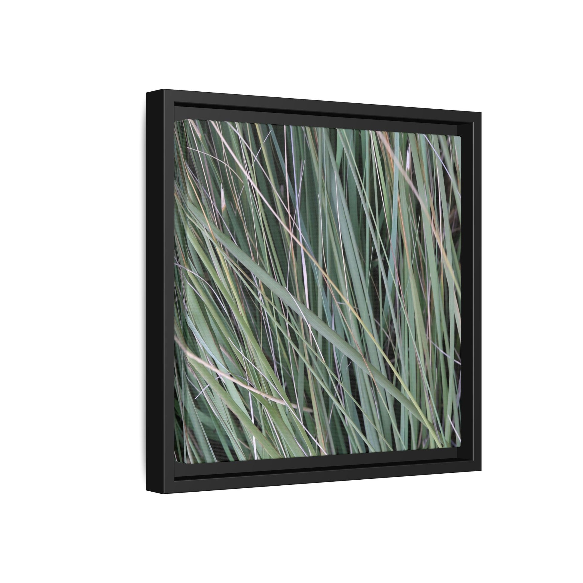 Grassland Symphony - Unique Stretched Canvas Wall Art - Art By Earth