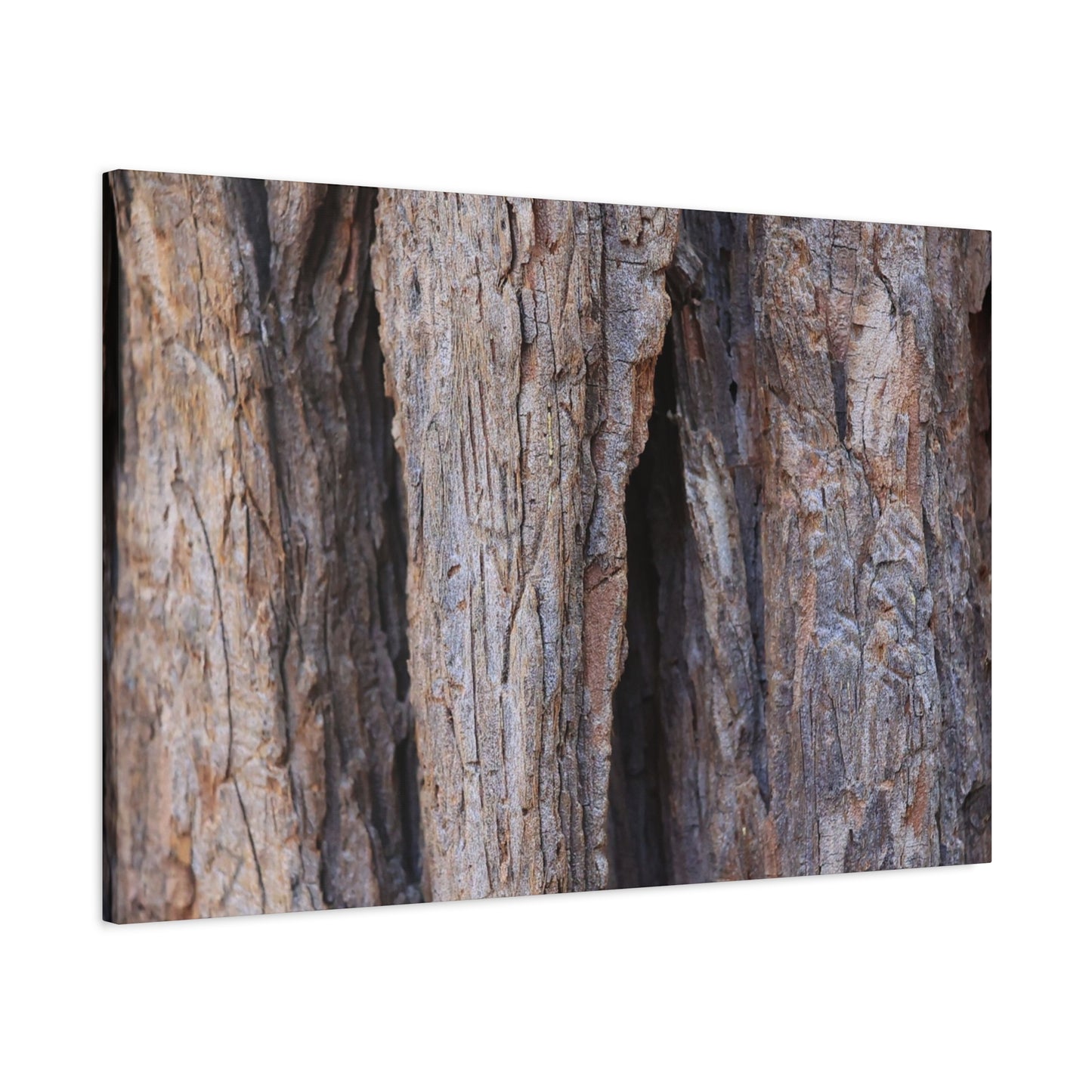 Fractal Skin - Unique Frameless Canvas Wall Art - Art By Earth