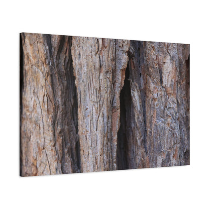 Fractal Skin - Unique Frameless Canvas Wall Art - Art By Earth