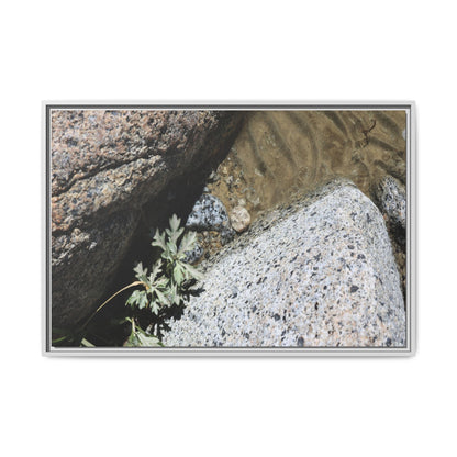 Resilience in Stone - Unique Stretched Canvas Wall Art - Art By Earth