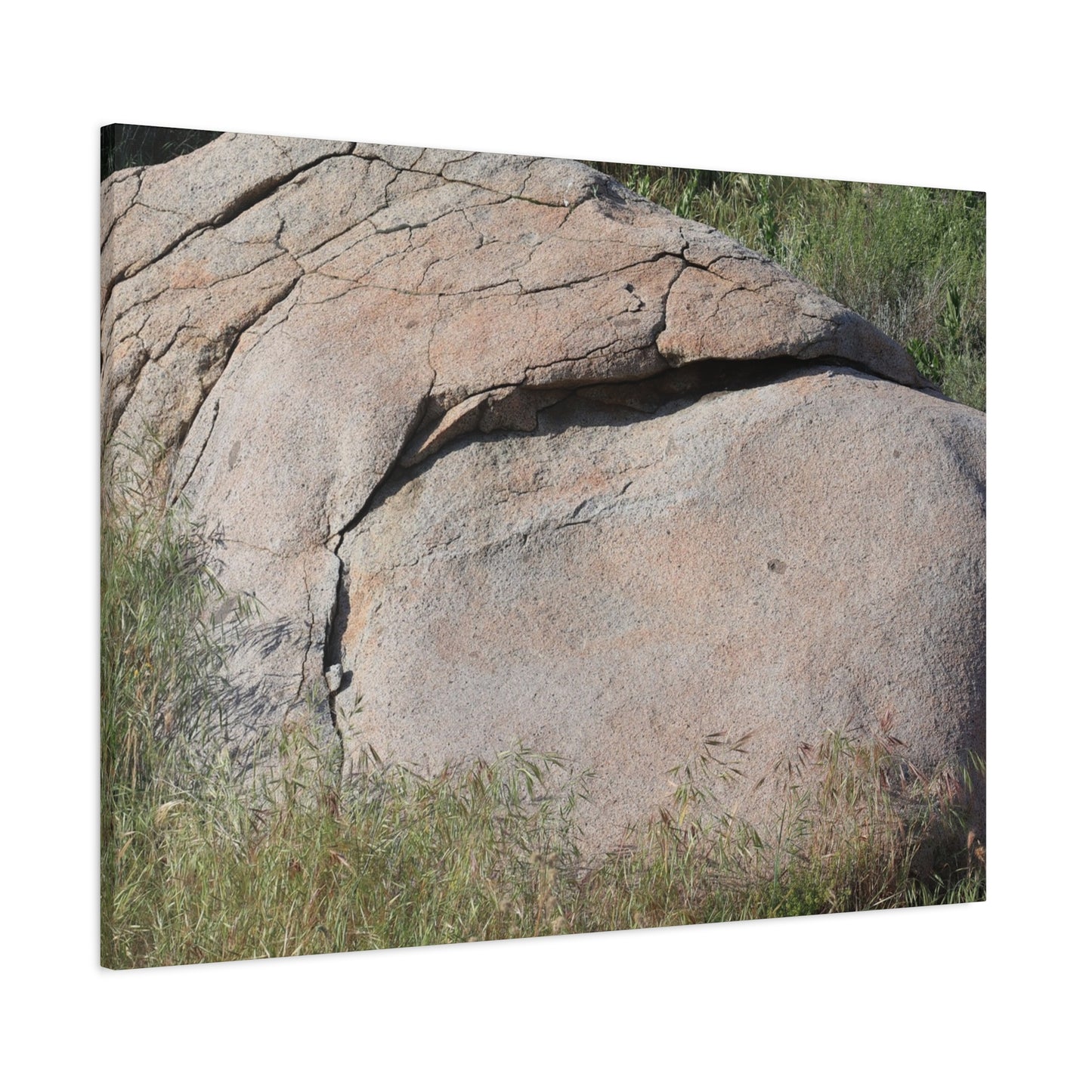 Granite Boulder in Desert Scrub - Unique Frameless Canvas Wall Art - Art By Earth
