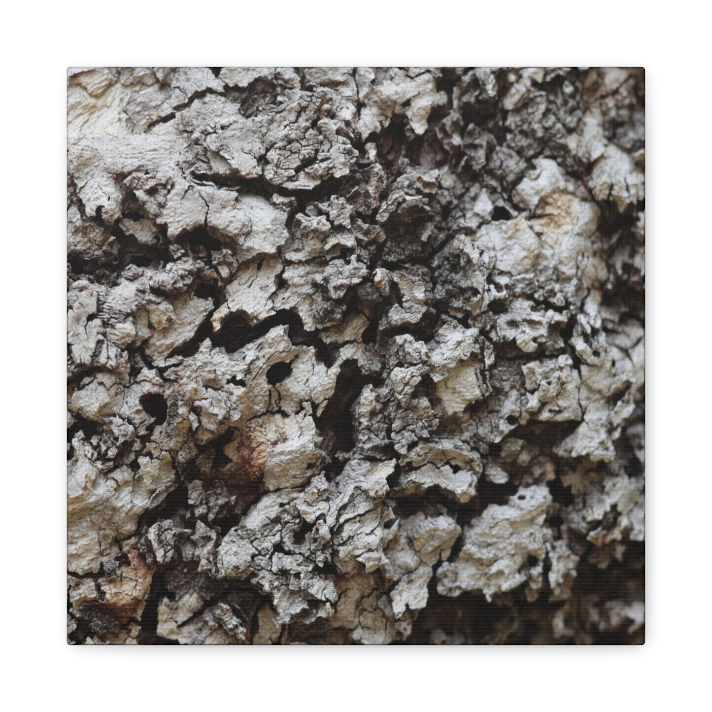 Cracked Earth Tapestry - Unique Frameless Canvas Wall Art - Art By Earth