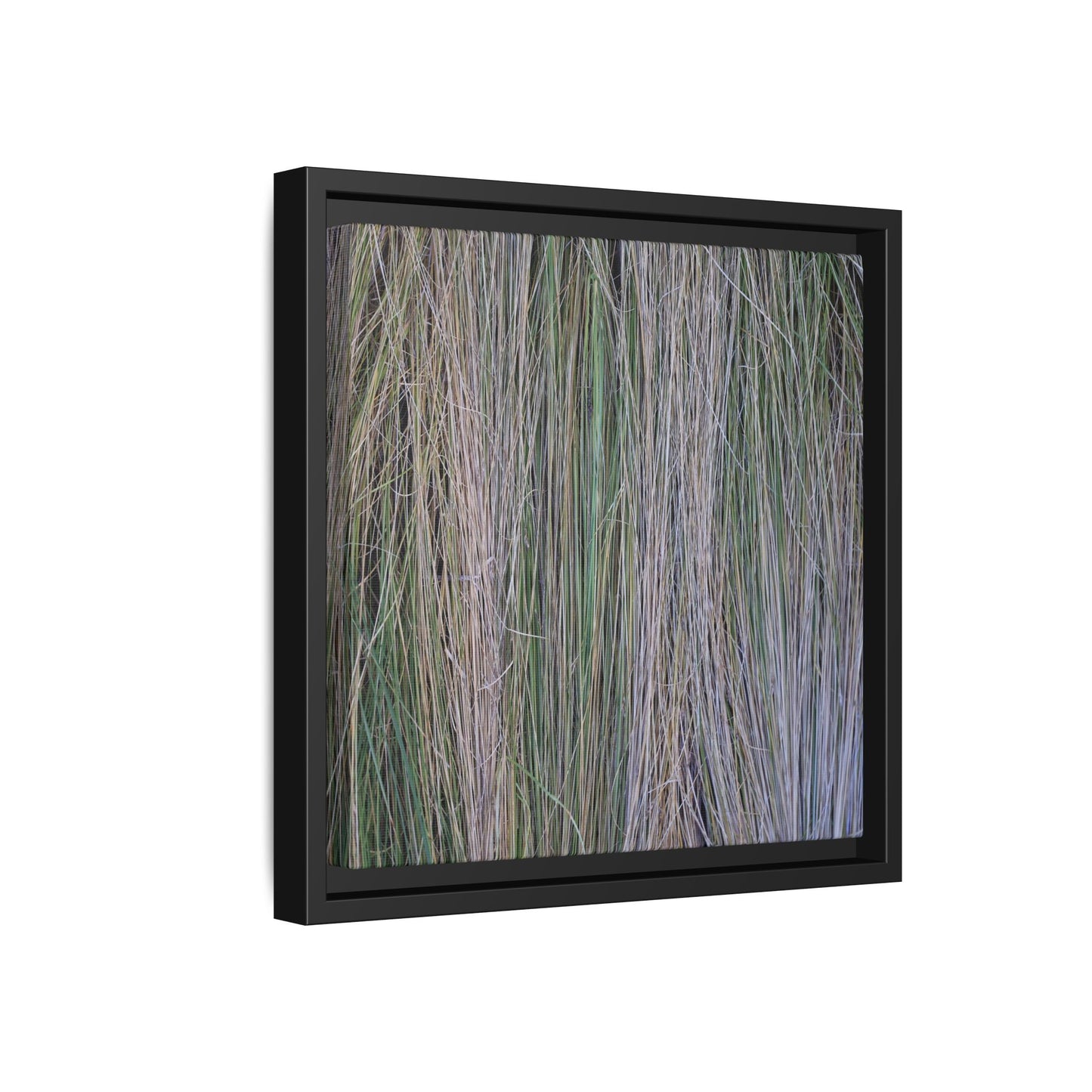 Whispers of Silver Grass - Unique Stretched Canvas Wall Art - Art By Earth