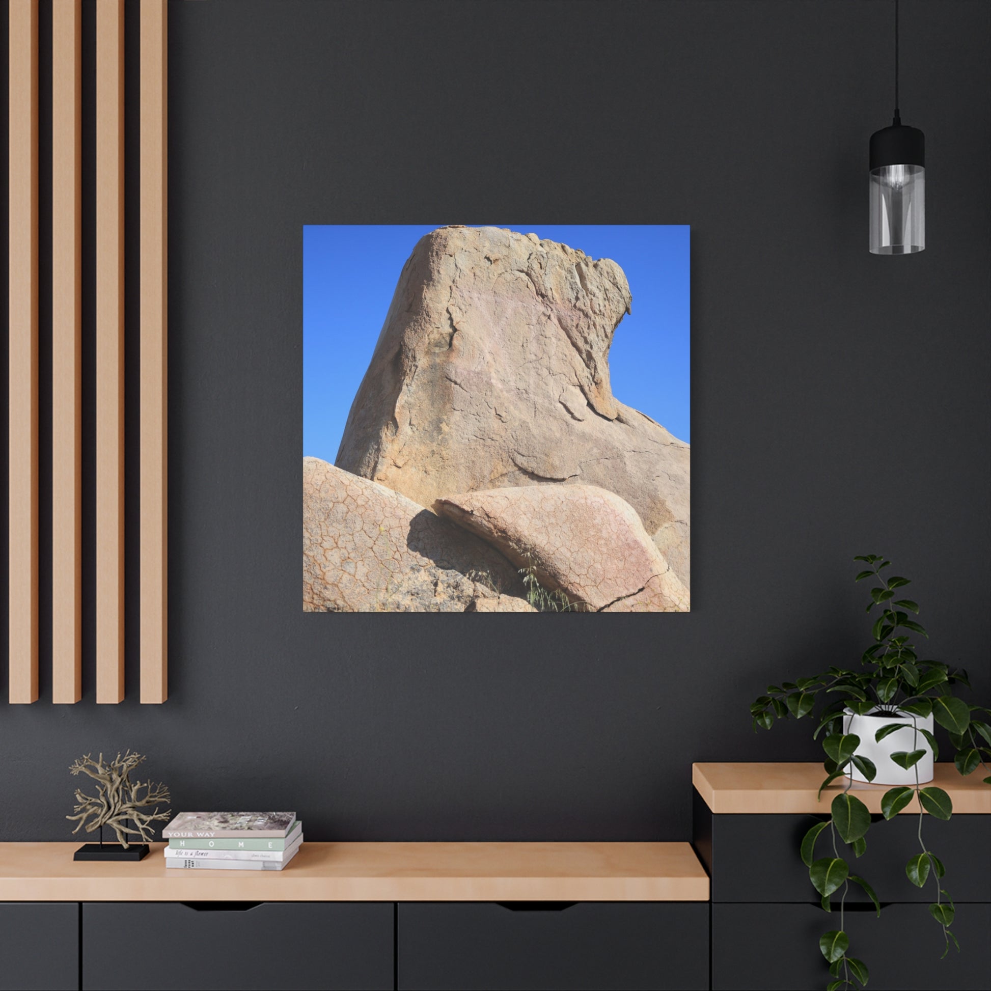 Boulder's Embrace - Unique Frameless Canvas Wall Art - Art By Earth