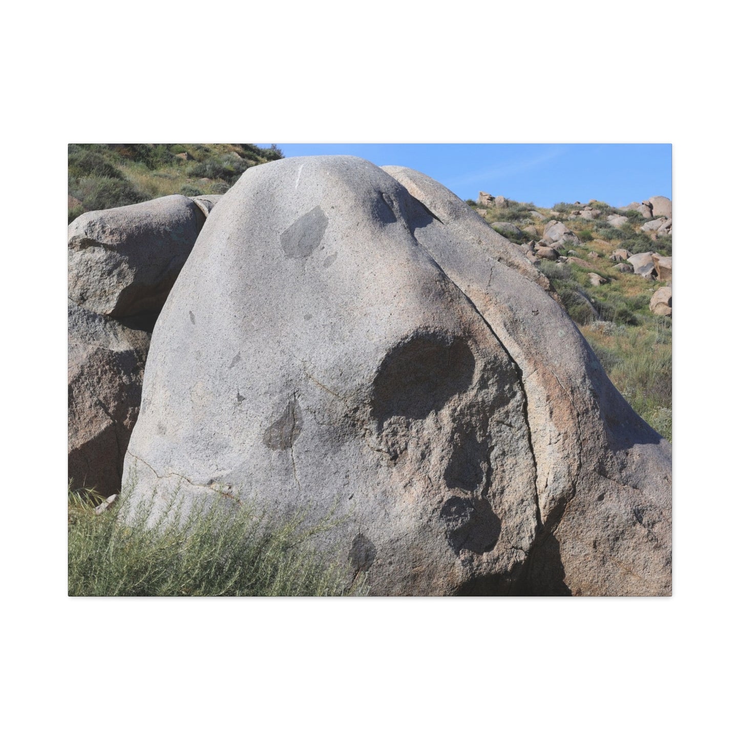 Skull Rock - Unique Frameless Canvas Wall Art - Art By Earth
