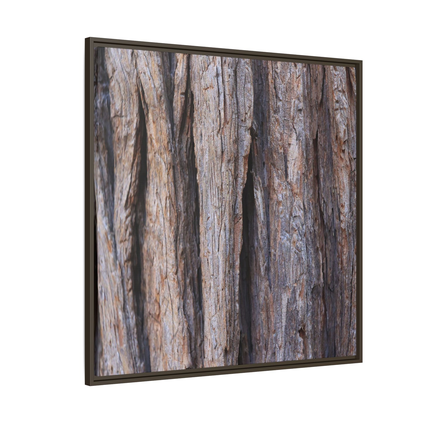 Ancient Grains - Unique Stretched Canvas Wall Art - Art By Earth