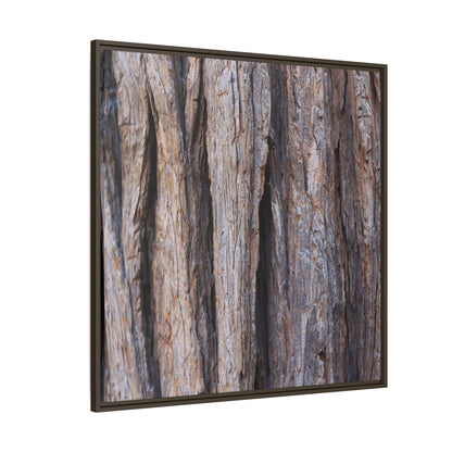 Ancient Grains - Unique Stretched Canvas Wall Art - Art By Earth