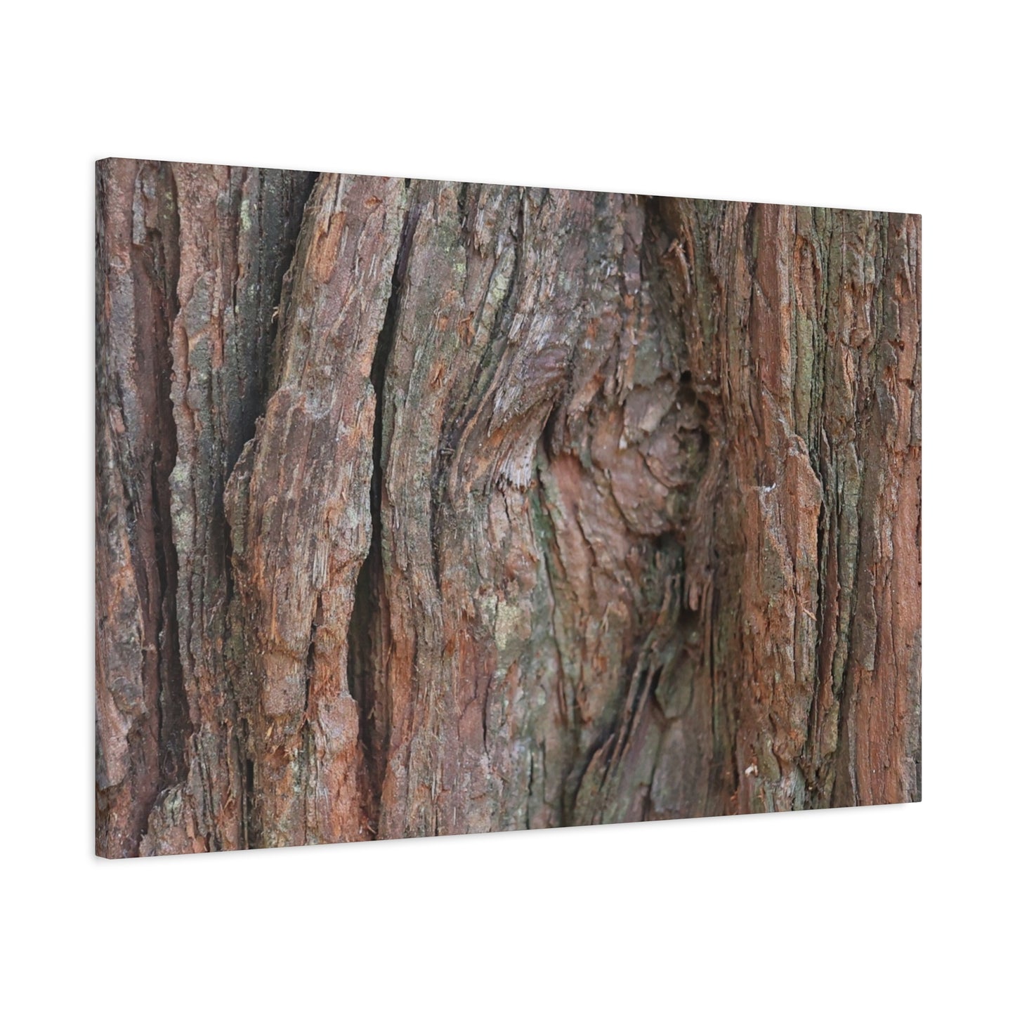 Rustic Embrace - Unique Frameless Canvas Wall Art - Art By Earth