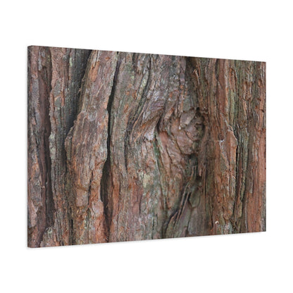 Rustic Embrace - Unique Frameless Canvas Wall Art - Art By Earth