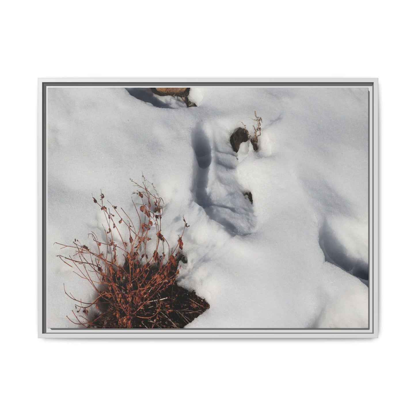 Frostbound Whispers - Unique Stretched Canvas Wall Art