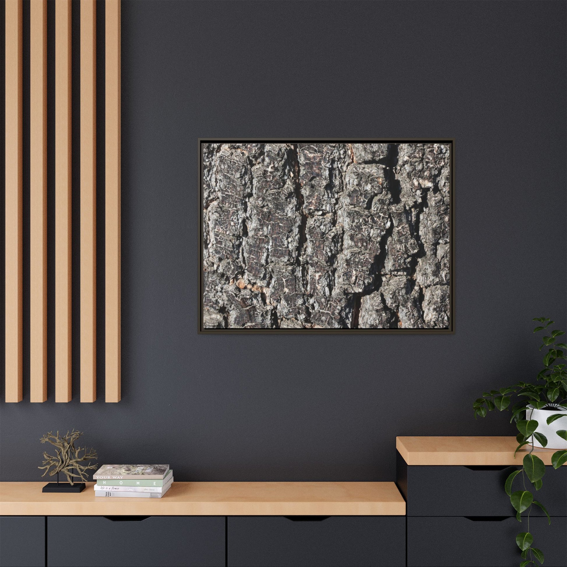 Bark Study in Gray - Unique Stretched Canvas Wall Art - Art By Earth