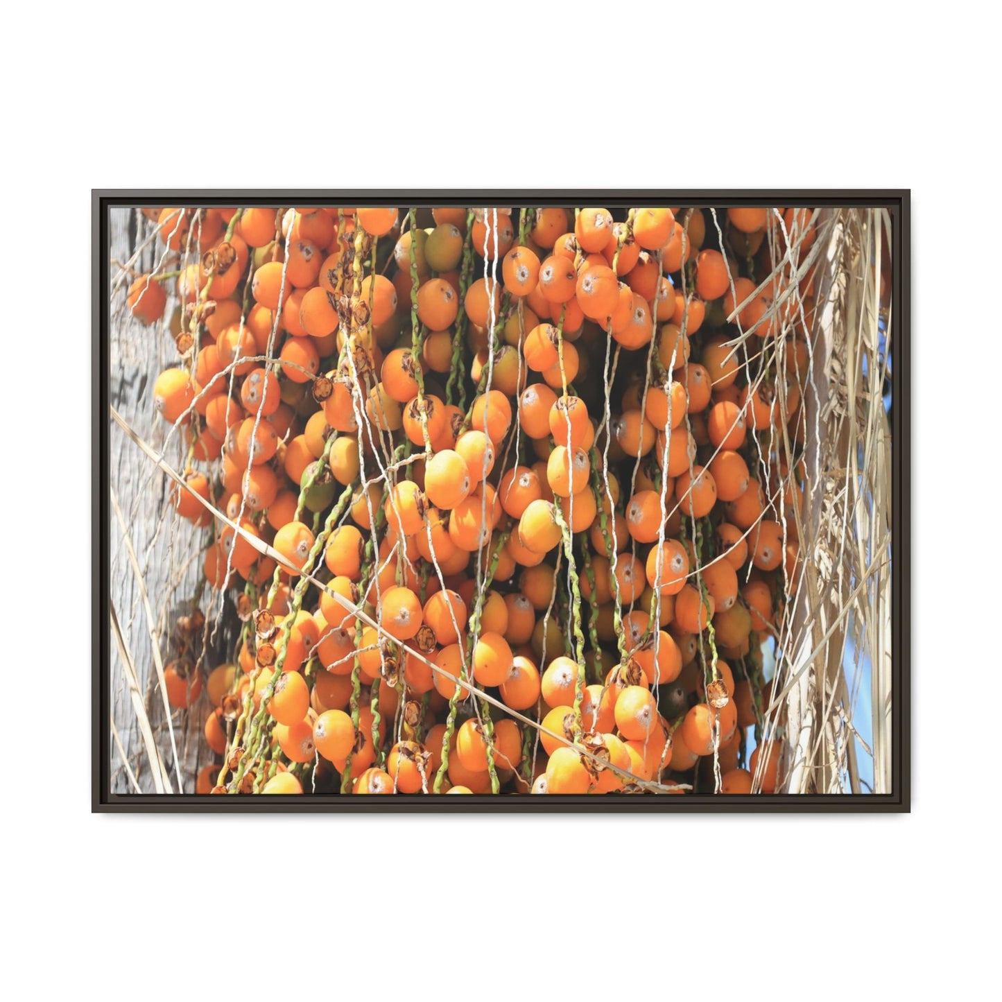 Clusters of Sunlight - Unique Canvas Wall Art - Art By Earth