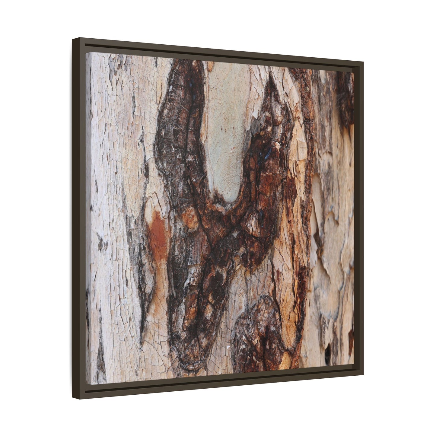 Texture of Time - Unique Stretched Canvas Wall Art - Art By Earth