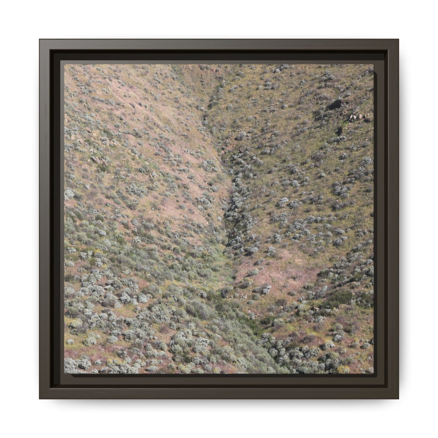 Mountain Slope with Desert Vegetation - Unique Stretched Canvas Wall Art - Art By Earth