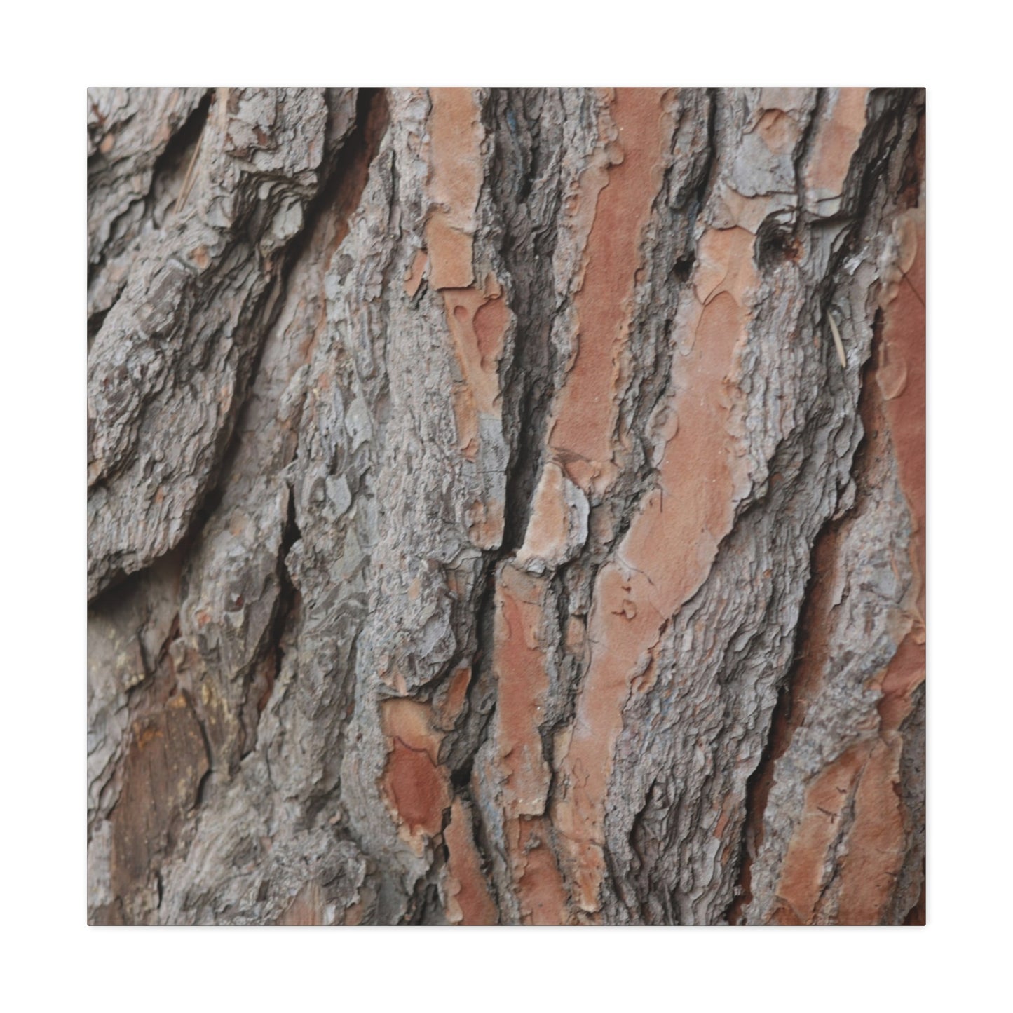 Fractal Landscape - Unique Frameless Canvas Wall Art - Art By Earth