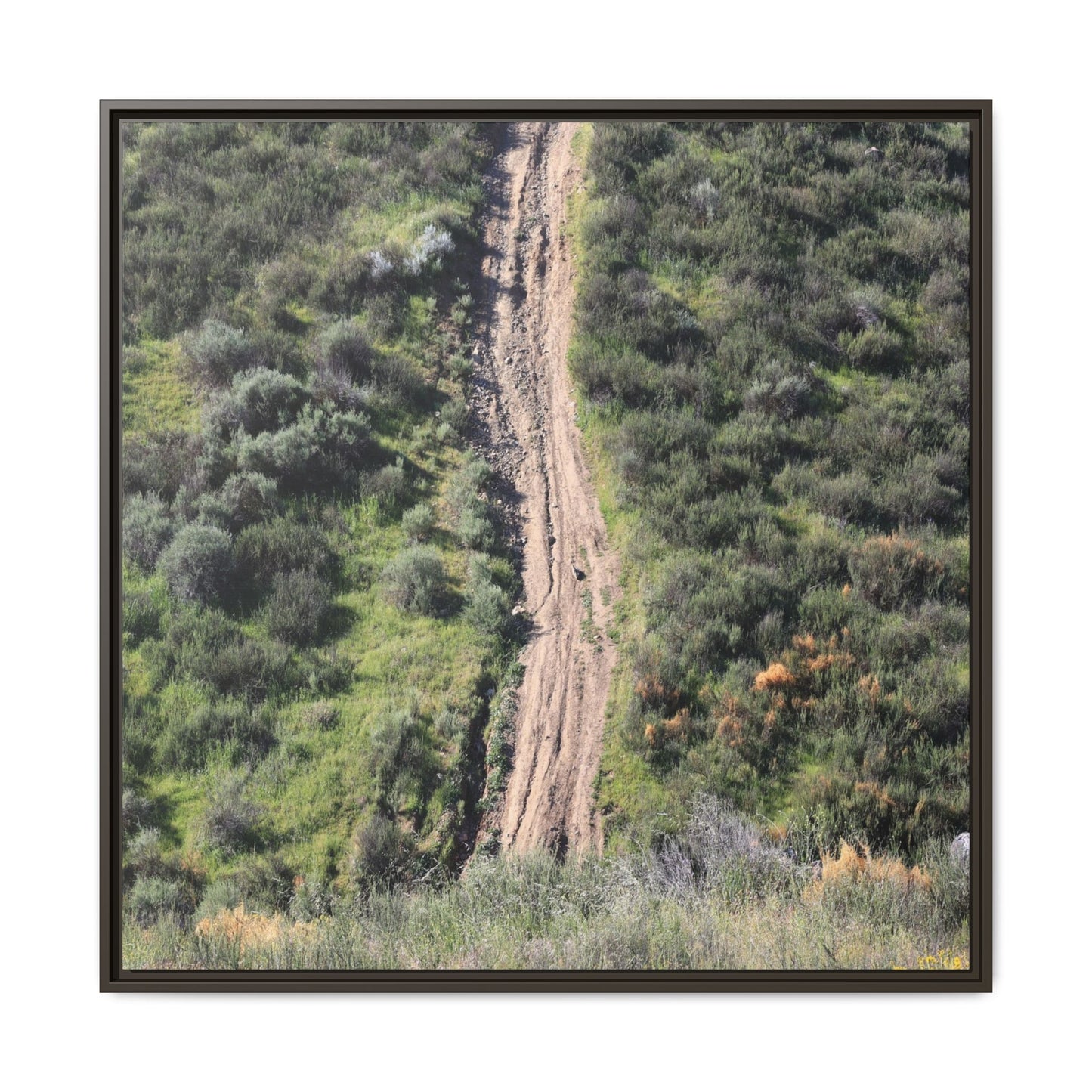 Desert Path Through Sage - Unique Stretched Canvas Wall Art - Art By Earth
