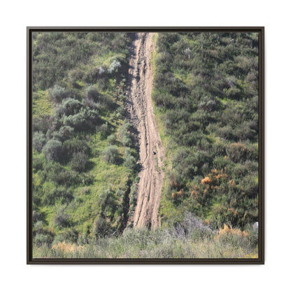 Desert Path Through Sage - Unique Stretched Canvas Wall Art - Art By Earth