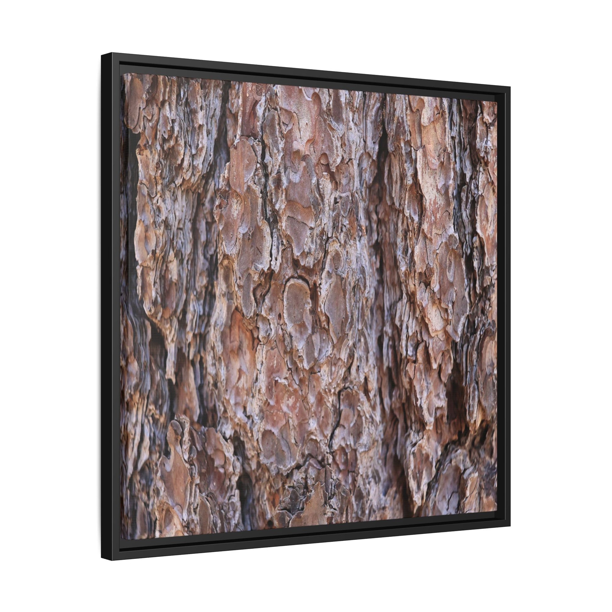 Woody Layers - Unique Stretched Canvas Wall Art - Art By Earth