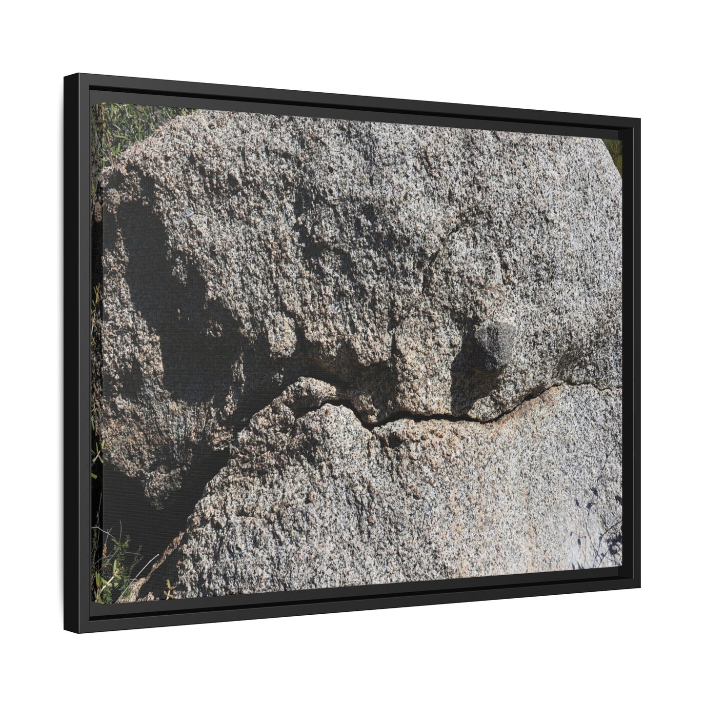 Stone Skull in Desert - Unique Stretched Canvas Wall Art