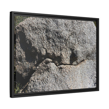 Stone Skull in Desert - Unique Stretched Canvas Wall Art