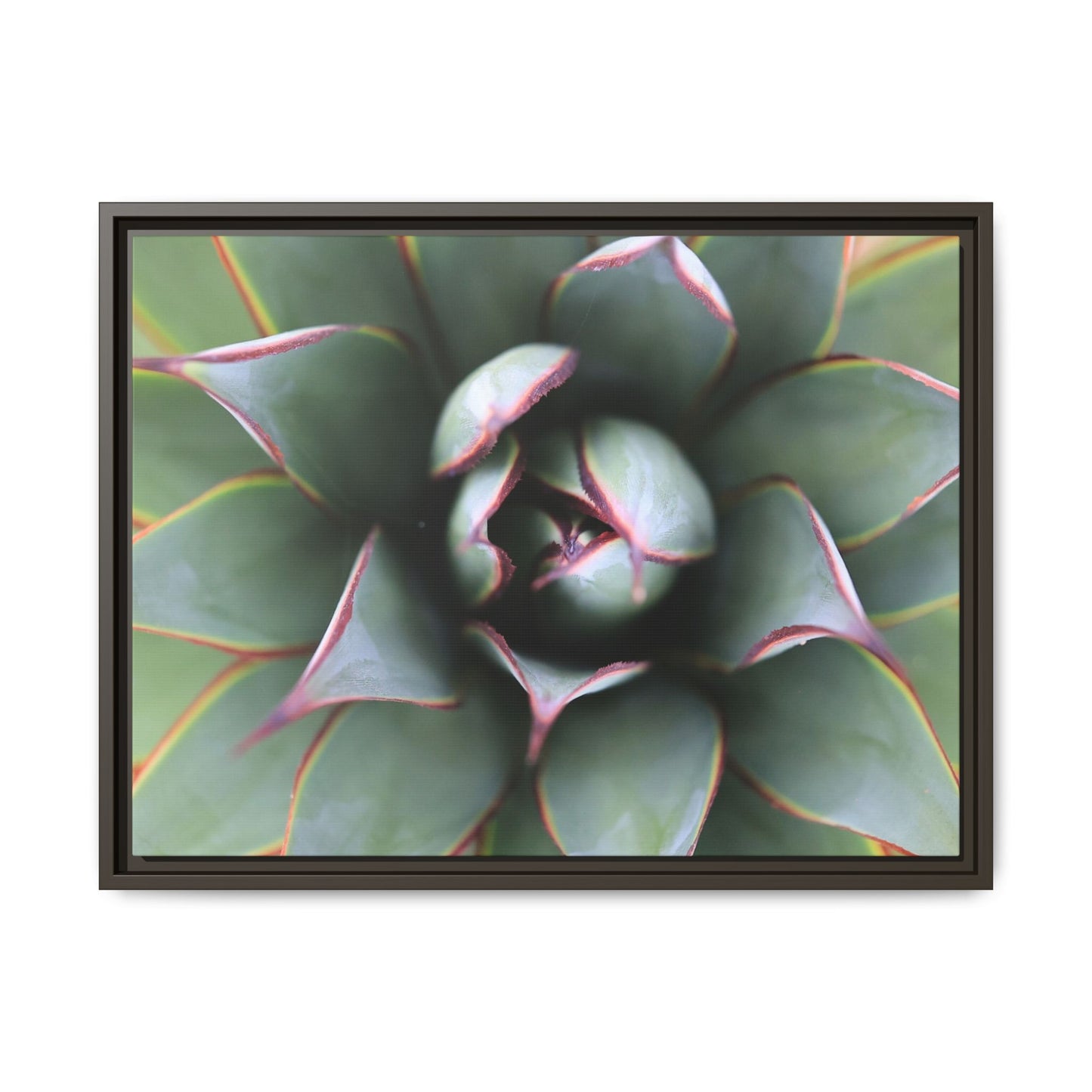 Spiky Elegance - Unique Stretched Canvas Wall Art - Art By Earth