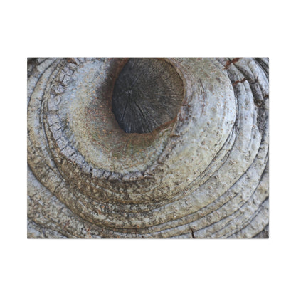 Bark's Eye - Unique Frameless Canvas Wall Art - Art By Earth