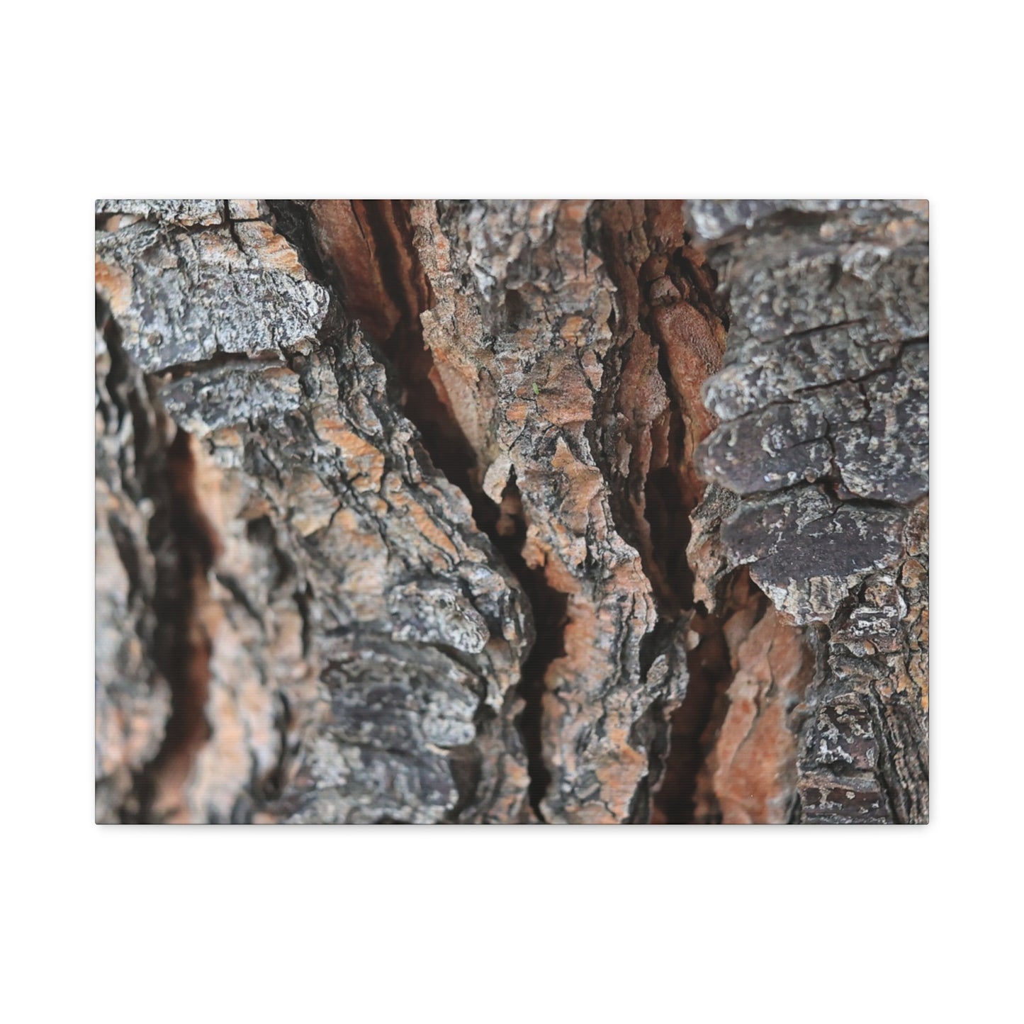 Rough Whispers - Unique Frameless Canvas Wall Art - Art By Earth