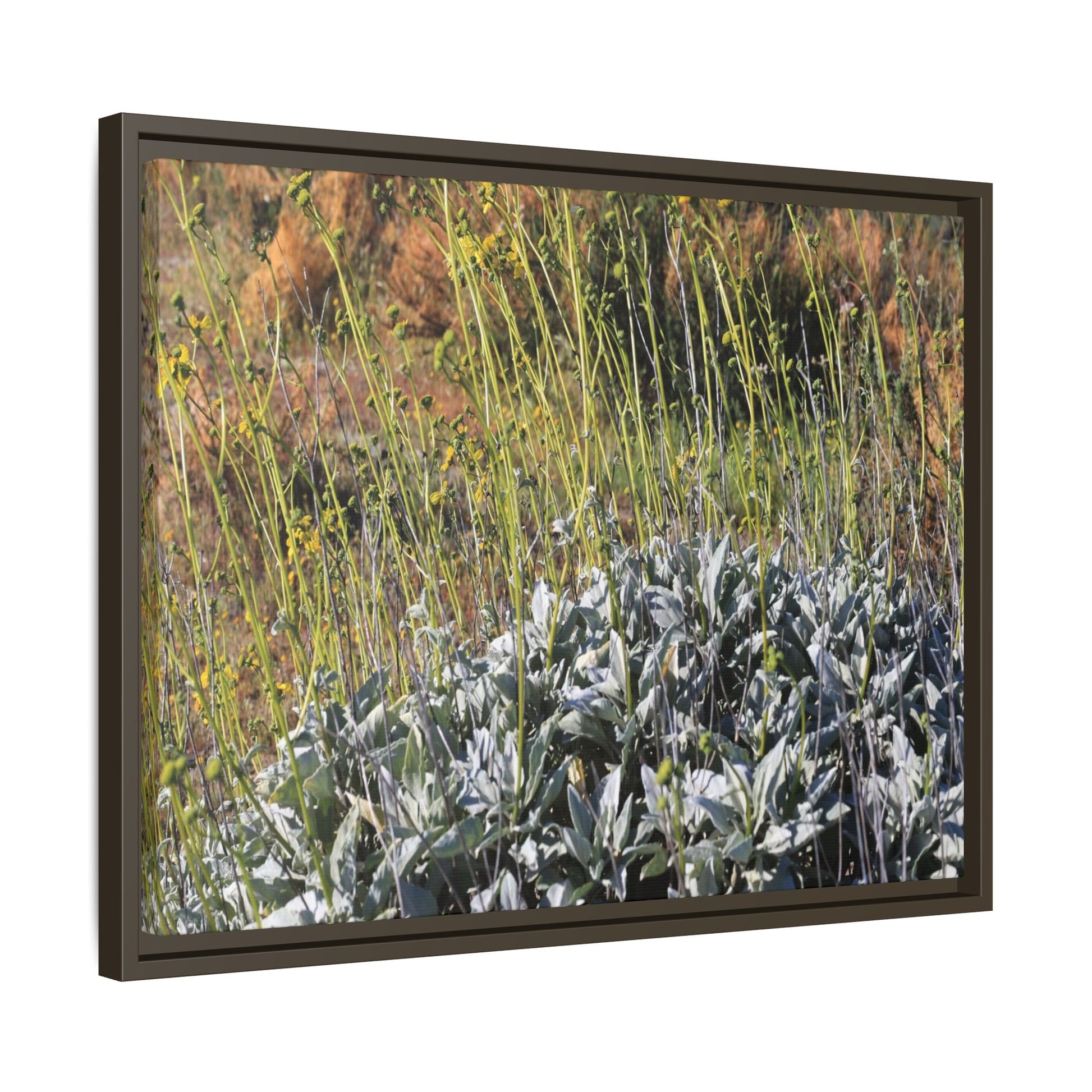 Arid Landscape with Yellow Flowers - Unique Stretched Canvas Wall Art - Art By Earth