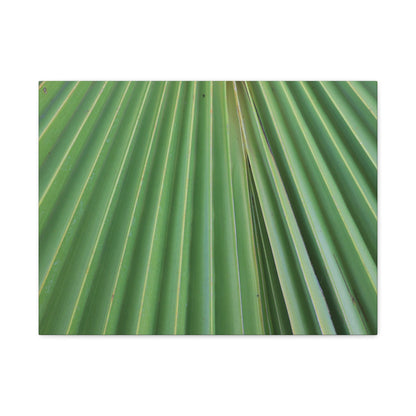 Fan of Green - Unique Frameless Canvas Wall Art - Art By Earth