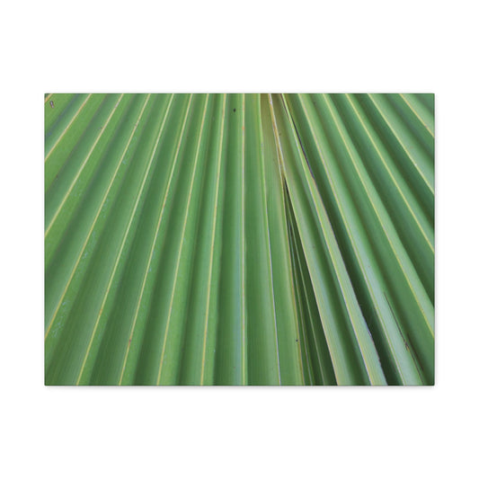 Fan of Green - Unique Frameless Canvas Wall Art - Art By Earth