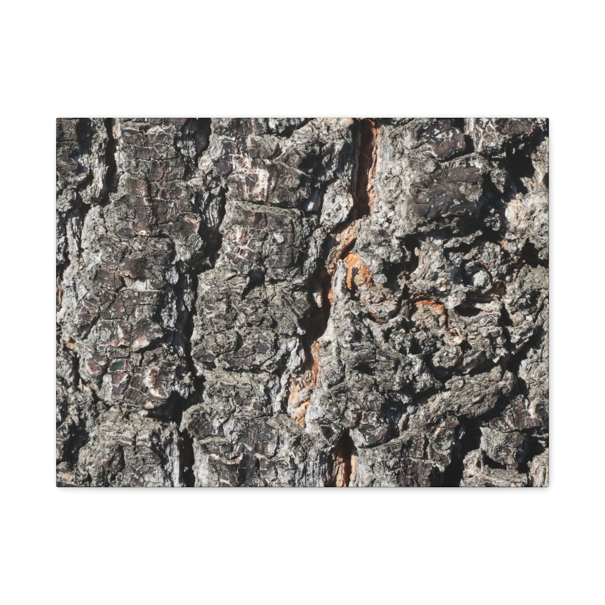 Arboreal Skin - Unique Frameless Canvas Wall Art - Art By Earth