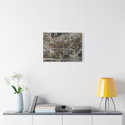 Whispers in Dry Grass - Unique Frameless Canvas Wall Art - Art By Earth