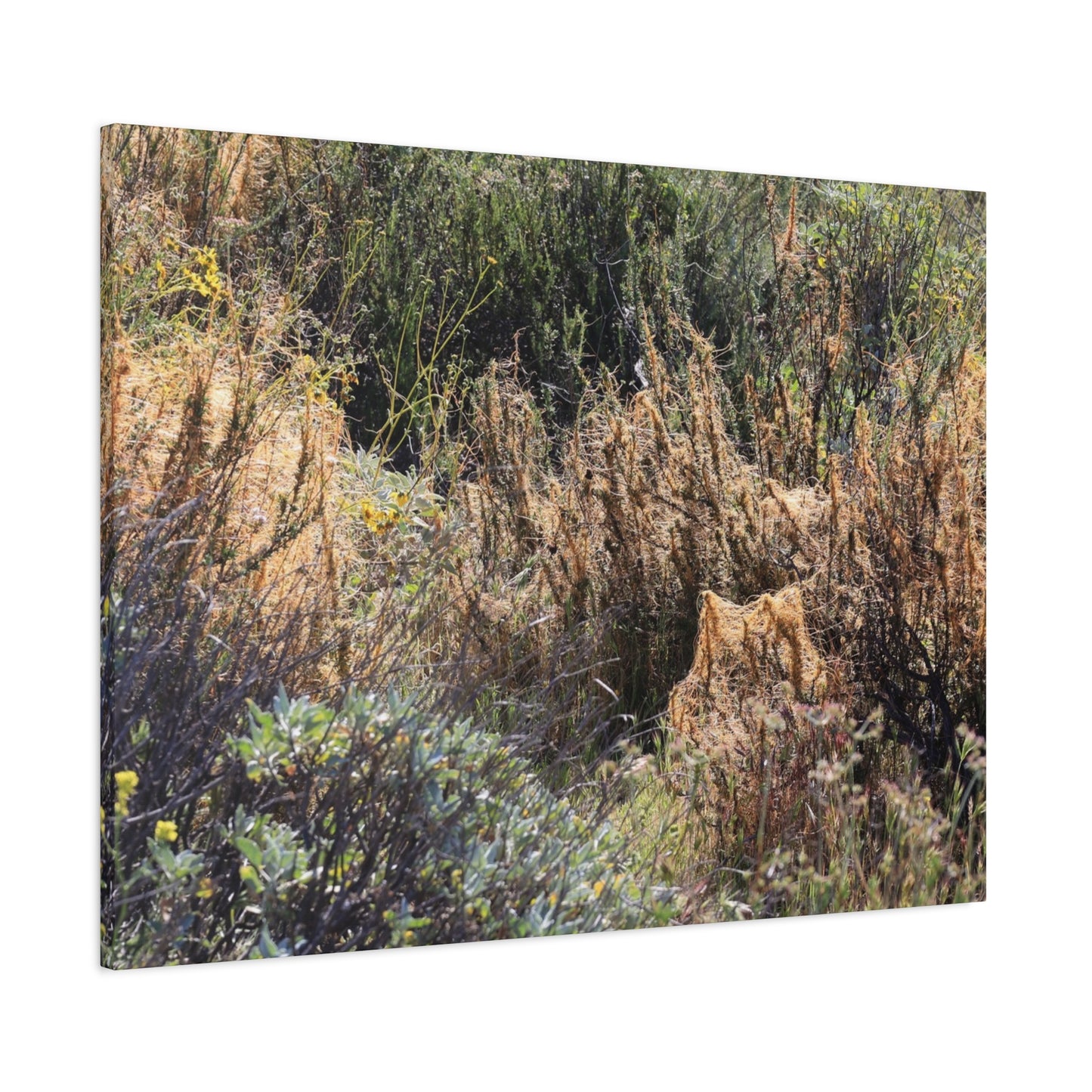 Sagebrush Desert Landscape - Unique Frameless Canvas Wall Art - Art By Earth