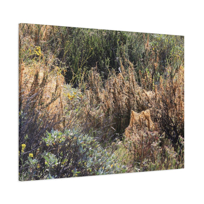 Sagebrush Desert Landscape - Unique Frameless Canvas Wall Art - Art By Earth