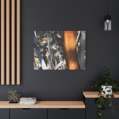 Burnt Forest Remnants - Unique Frameless Canvas Wall Art