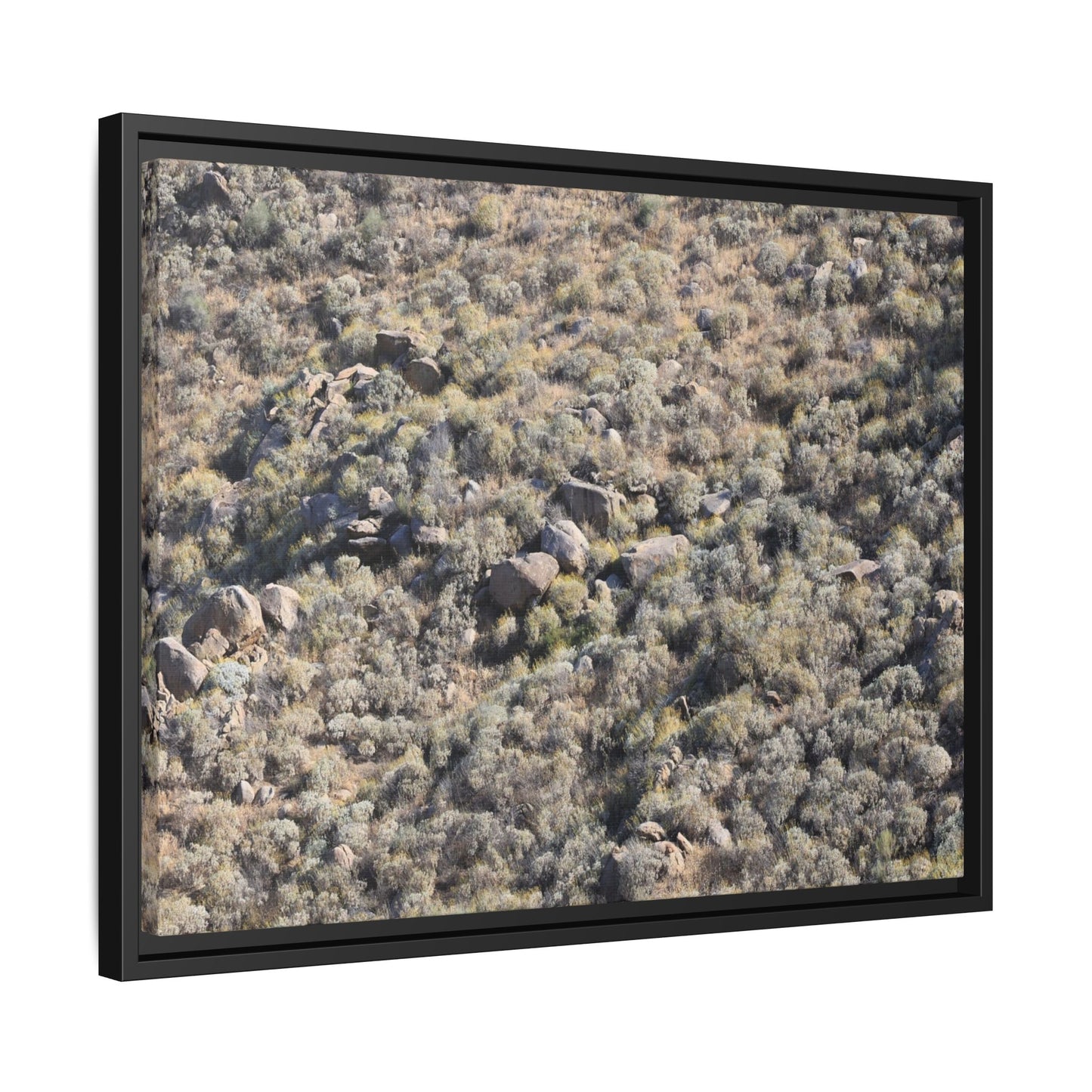 Arid Terrain Study - Unique Stretched Canvas Wall Art - Art By Earth