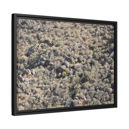 Arid Terrain Study - Unique Stretched Canvas Wall Art - Art By Earth