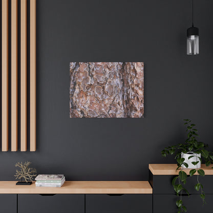 Rugged Bark Landscape - Unique Frameless Canvas Wall Art - Art By Earth