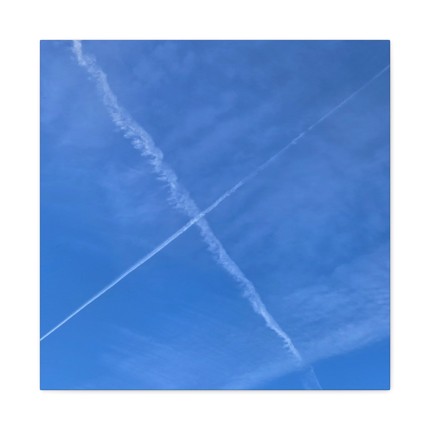 Crossing Paths - Unique Frameless Canvas Wall Art - Art By Earth