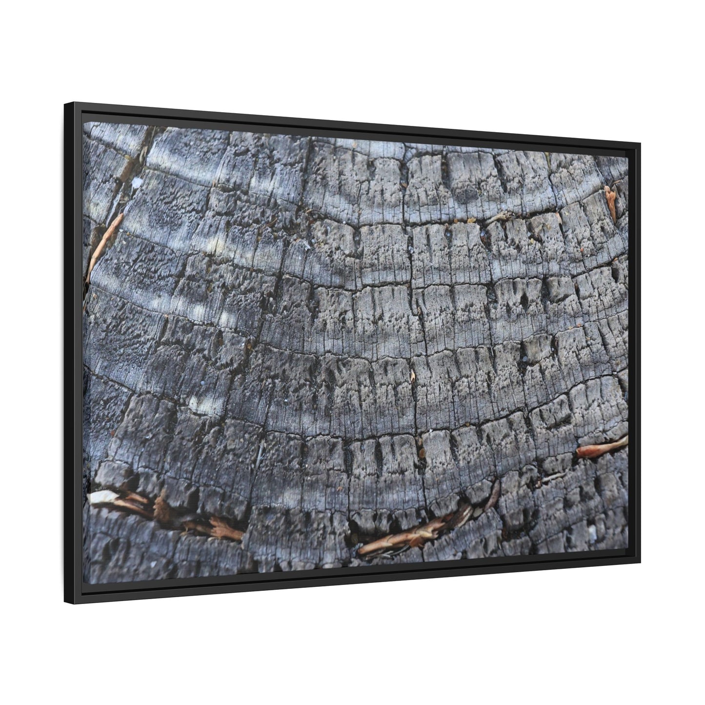 Charred Memories - Unique Stretched Canvas Wall Art - Art By Earth